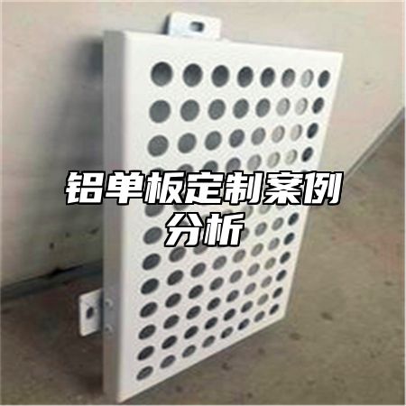 铝单板定制案例分析