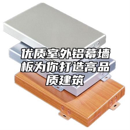 优质室外铝幕墙板为你打造高品质建筑