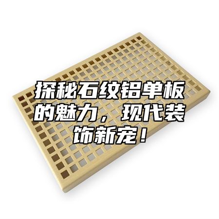 探秘石纹铝单板的魅力，现代装饰新宠！