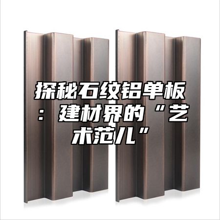 探秘石纹铝单板：建材界的“艺术范儿”
